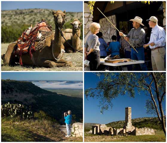 Ozona Chamber